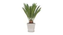 Grijze bloempot